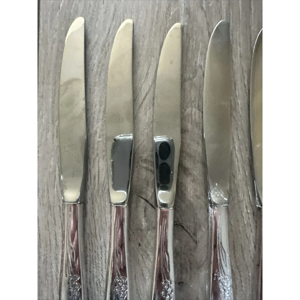 6 PCs Oneida Community ENCHANTMENT Gentle Rose Dinner‎ Knives 9-1/8